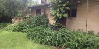 Charming 4BR/2BA Home with Elegant Features and Outdoor Bliss! Gallery 17
