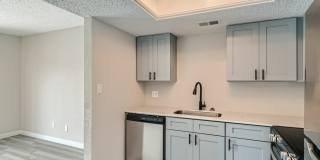 Rise Spring Pointe Gallery 12