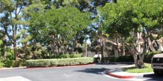 24341 CONEJO Gallery 27