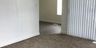 Green Pines Gallery 1