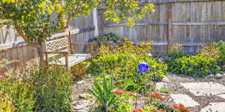 2638 Rabun Way Gallery 46