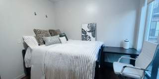 The Elysian Gallery 491