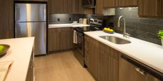 Windsor Marina Bay Gallery 11