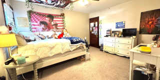 425 JUNIPER Street Gallery 21