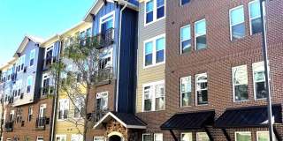 690 E Algonquin Road unit: 3408 Gallery 1