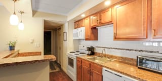 Whitmore Court Gallery 5