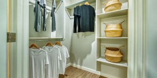 Amiya Gallery 15