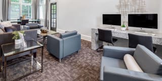 Cavalier @ 100 Gallery 13