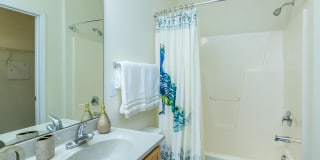 Whisper Creek Gallery 38