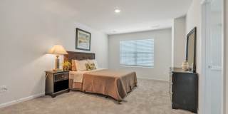 Eagle Chase Gallery 14