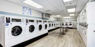 The Mark Alexandria Gallery 34