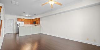 Pet Friendly Condo Downtown! Gallery 7