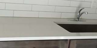 12395 Peconic Ct Gallery 1