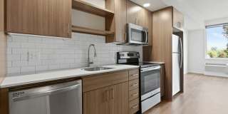 The Fifty at Division Gallery 6