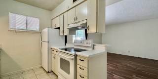 126 Scott St Gallery 4