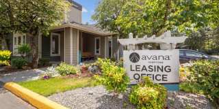 Avana Hamptons Gallery 22