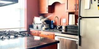 Huge 2 Bed in Brookline! 9w Parking for Rent! Gallery 5