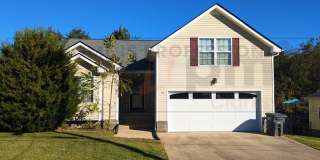 1121 Gunpoint Drive 1121 Gunpoint Drive Gallery 1