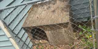 Perfect Home for You and Your Pup! Dog House Included + Fenced Yard Perfect Home for You and Your Pup! Dog House Included + Fenced Yard Gallery 5