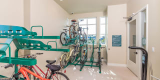 The Seaton Gallery 20