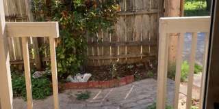 Cute 1 bed/1 bath Gallery 15