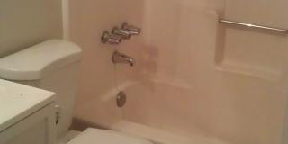 Gorgeous 4 bedroom 2 bath home Gallery 7