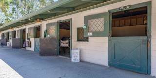 3338 Punta Alta Gallery 33