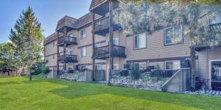 Rocky Meadows Gallery 15