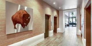 The Pullman Gallery 41