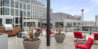 Radius Gallery 45