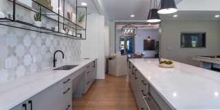 Palmhouse Gallery 23