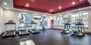 The Redland Gallery 22