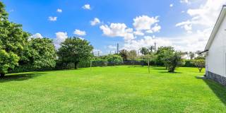 11173 Manatee Gallery 47