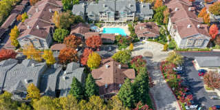 McKenzie at Natomas Park Gallery 28