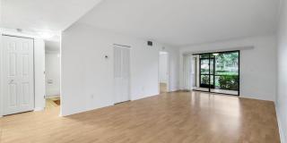 28161 Pine Haven Way Gallery 4
