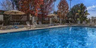 Sea Breeze Rental Townhomes Gallery 10