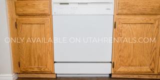 1057 S 810 E Gallery 13