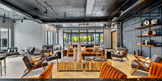 Aster & Links Gallery 56