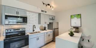 Rise Encore Gallery 1