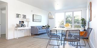 Hollis Oak Gallery 19