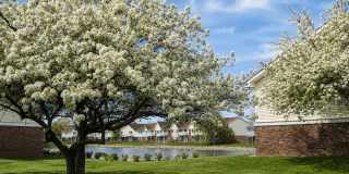 Waterstone Place Apartments Gallery 17