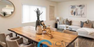 Lauretta Landing Gallery 16