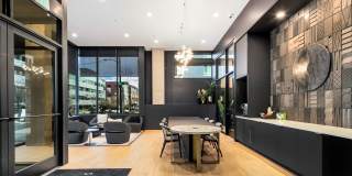 Stellar Gallery 8