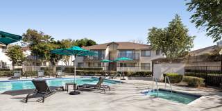 Rosewood Apartments Gallery 5