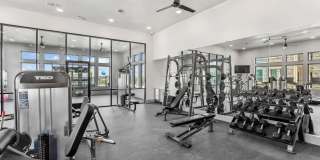 Paloma Luxury Apartments Gallery 13