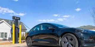 Reverie Belmont Gallery 29