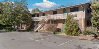 Two bedroom updated paint, carpet washer/dryer included in unit - Immediate Move In Gallery 3