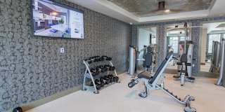 Bayswater Gallery 22