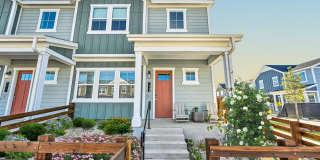 Cadia Sherman Gallery 22