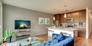 Sky Gallery 25
